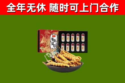 魏县回收冬虫夏草价格