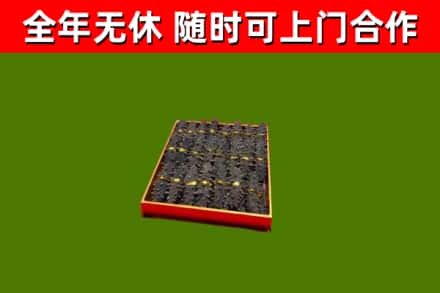 魏县回收海参